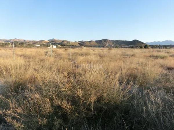 Terreno en avenida del Pla Olivera