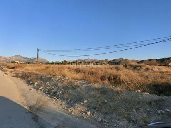 Terreno en avenida del Pla Olivera