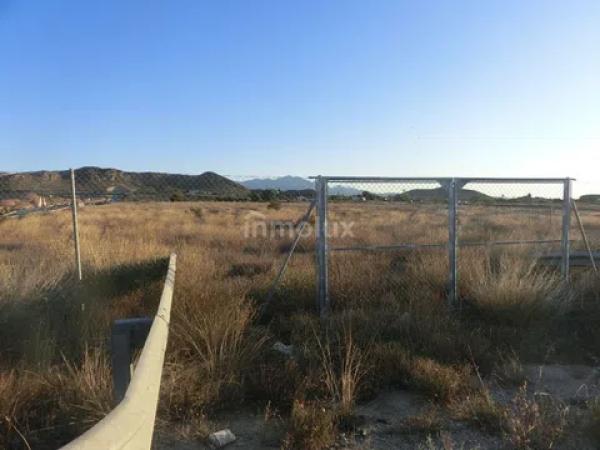 Terreno en avenida del Pla Olivera