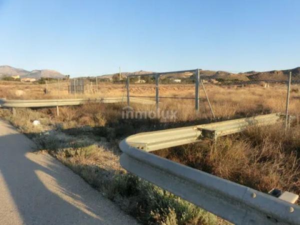 Terreno en avenida del Pla Olivera