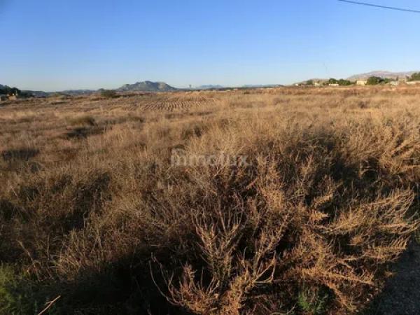 Terreno en avenida del Pla Olivera
