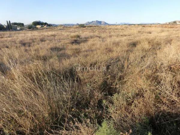 Terreno en avenida del Pla Olivera