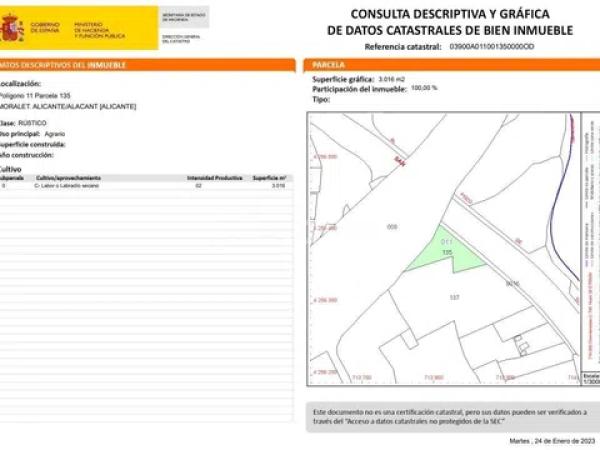 Terreno en avenida del Pla Olivera