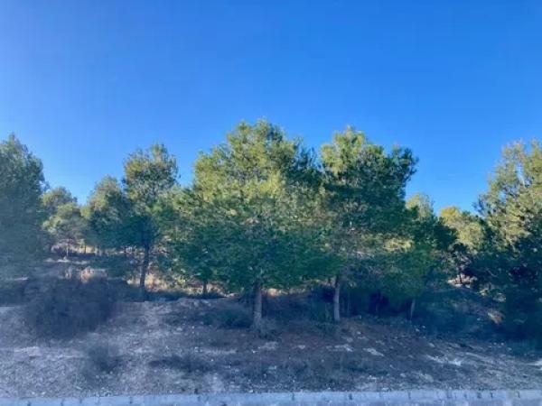 Terreno en calle le Vigan, 22