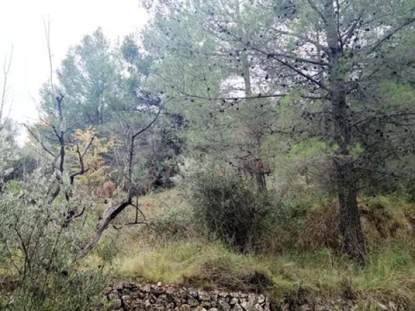 Terreno en Partida Teretla, 426