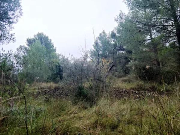 Terreno en Partida Teretla, 426