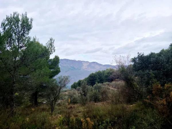 Terreno en Partida Teretla, 426