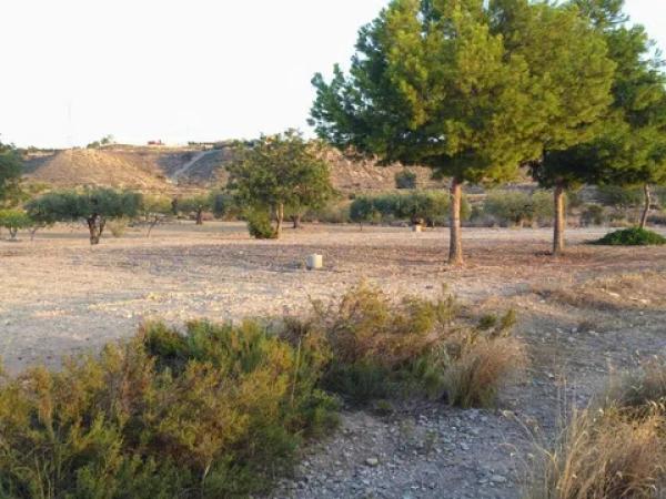 Terreno en hoya berenguer s/n