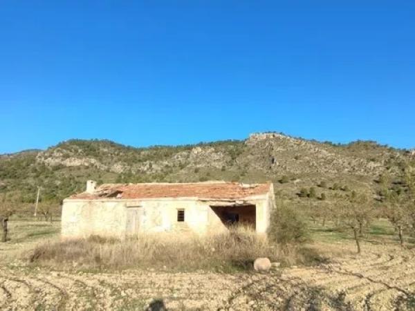 Terreno en paraje la boquera s/n