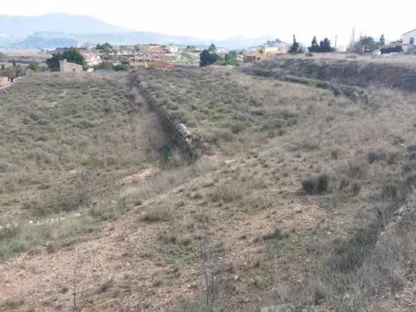 Terreno en camino de la Pedrera s/n