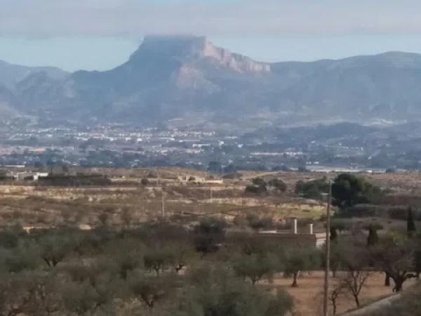 Terreno en camino de la Pedrera s/n