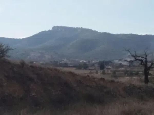 Terreno en camino de la Pedrera s/n
