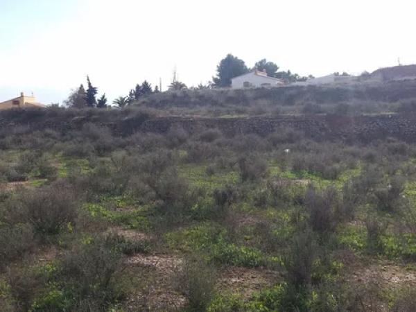 Terreno en camino de la Pedrera s/n