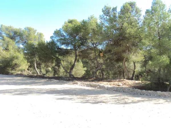 Terreno en Finca Terol, 4 b