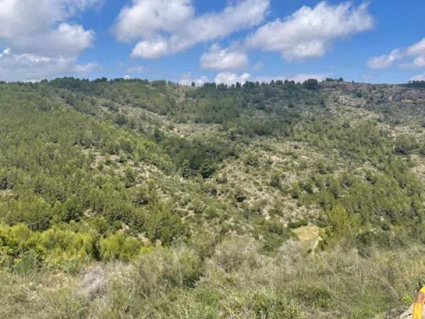Terreno en calle de la Malva, 1