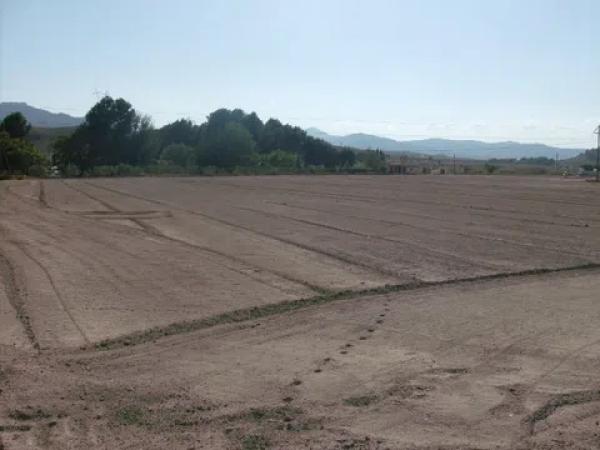Terreno en plaza Santa Eulalia, 45