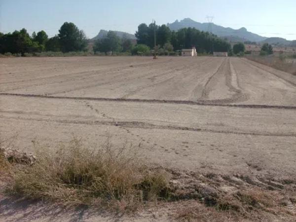 Terreno en plaza Santa Eulalia, 45
