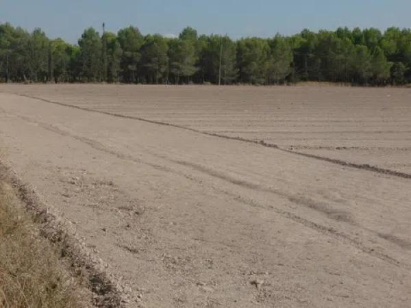 Terreno en plaza Santa Eulalia, 45