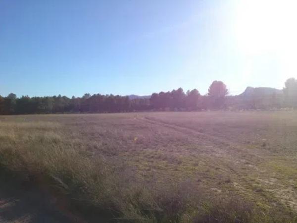 Terreno en plaza Santa Eulalia, 45