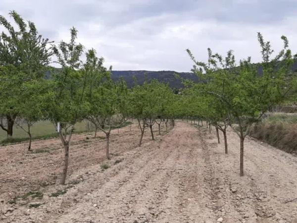 Terreno en calle major, 175