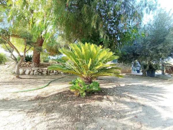 Terreno en La Romana