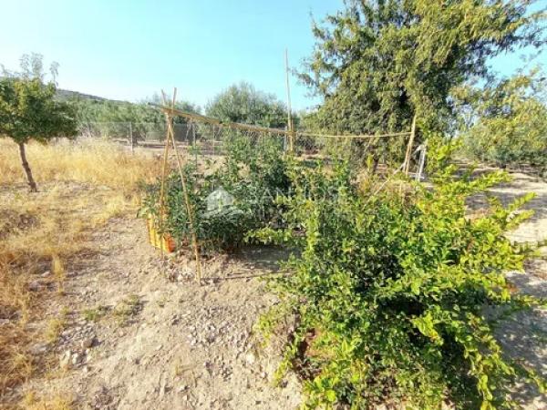 Terreno en La Romana