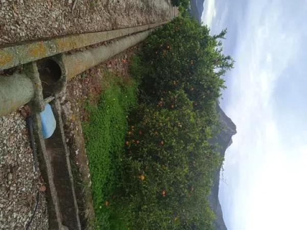 Terreno en calle de la Font, 10