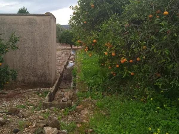 Terreno en calle de la Font, 10