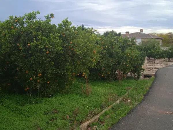 Terreno en calle de la Font, 10