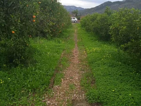 Terreno en calle de la Font, 10