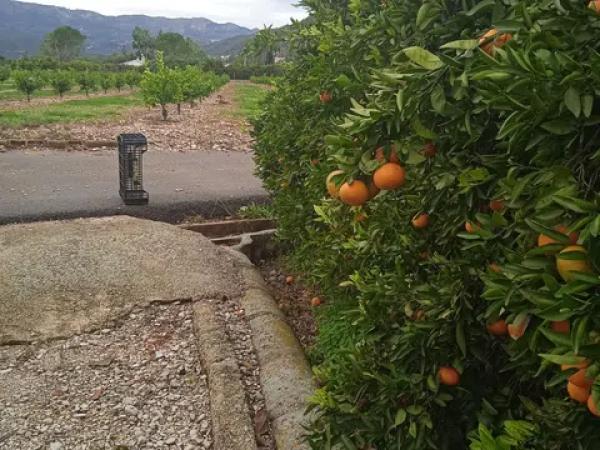 Terreno en calle de la Font, 10