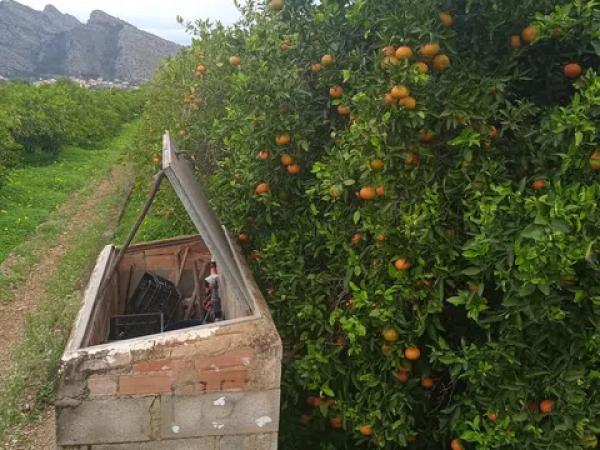 Terreno en calle de la Font, 10