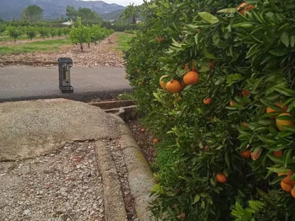 Terreno en calle de la Font, 10