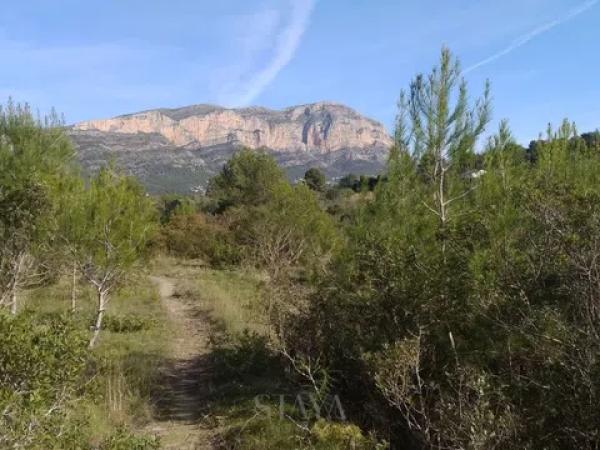 Terreno en Gata de Gorgos