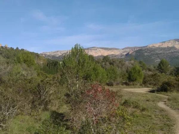 Terreno en Gata de Gorgos