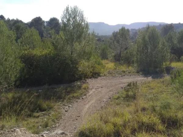 Terreno en Gata de Gorgos