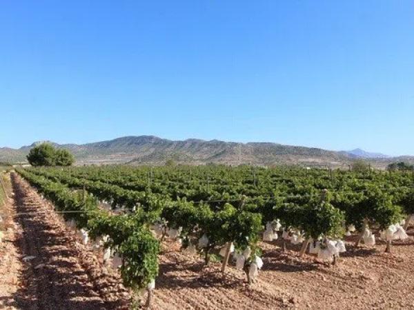 Terreno en La Romana