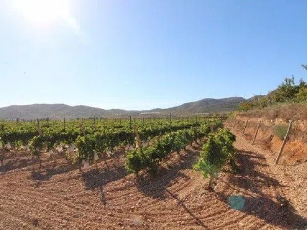 Terreno en La Romana