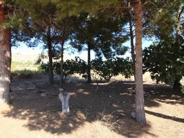 Terreno en La Romana