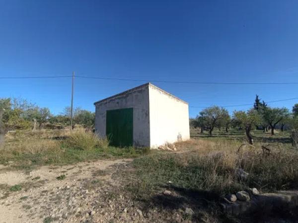 Terreno en camino de Creueta, 6