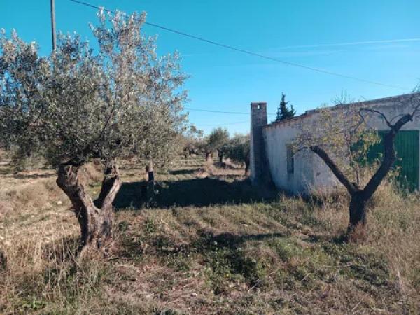 Terreno en camino de Creueta, 6