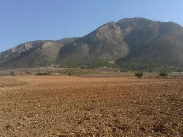 Terreno en carretera cv-840 s/n