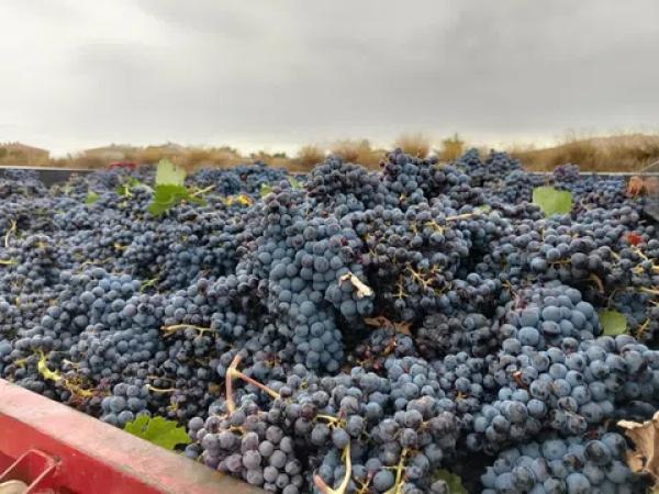 Terreno en calle San Isidro