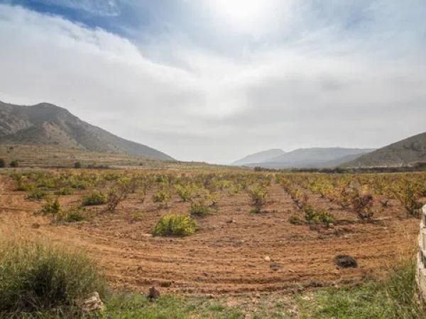 Terreno en calle San Isidro