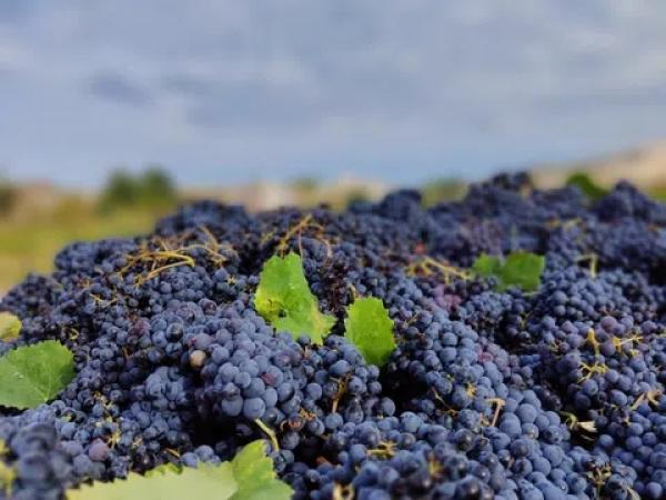 Terreno en calle San Isidro