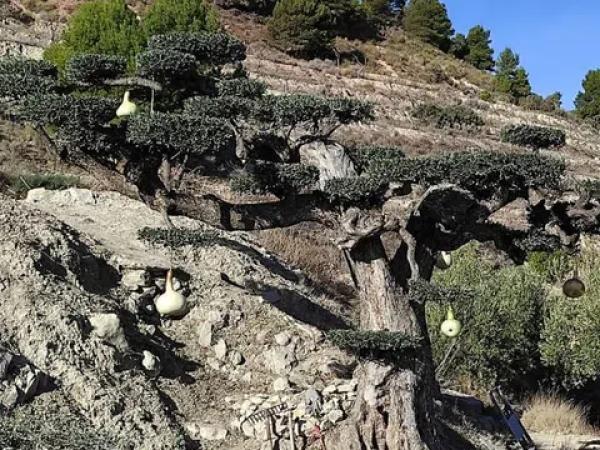 Terreno en Cv-780 s/n Sn