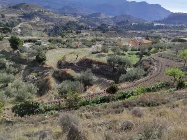 Terreno en Diseminado Sector 1, 250