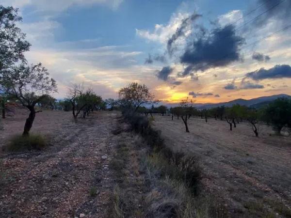 Terreno en Partida la Devesa, 138