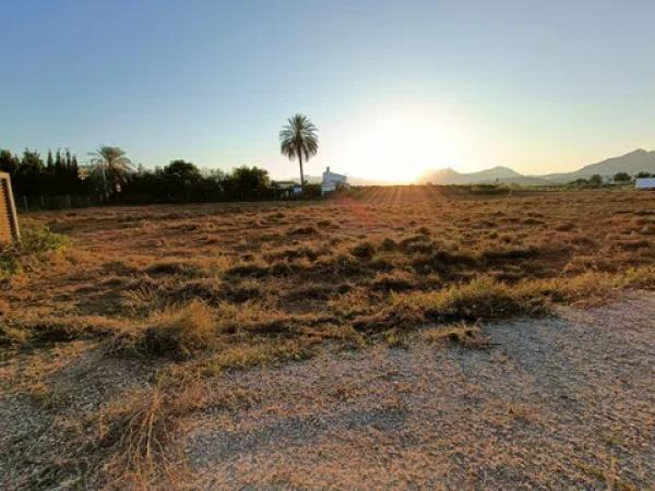 Terreno en Alcalali s/n