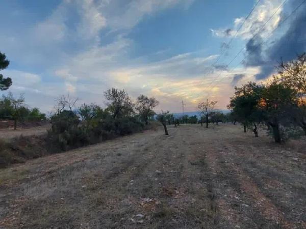 Terreno en Partida la Devesa, 138